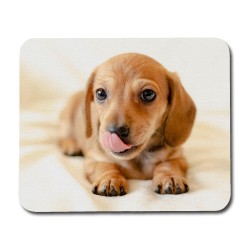 Dachshund Puppy Mouse Pad