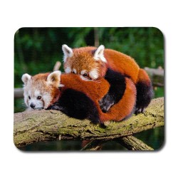 Red Pandas Mouse Pad