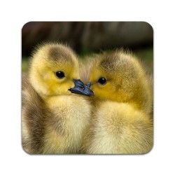 2 PCS  Ducklings Coasters