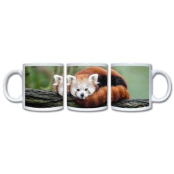 Red Panda Cub Mug