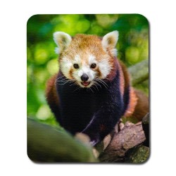 Red Panda Mouse Pad