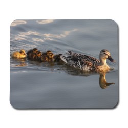 Duck Mouse Pad